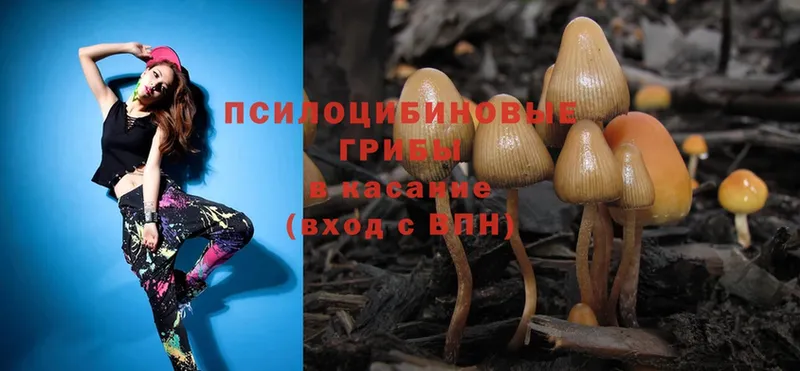 Псилоцибиновые грибы Magic Shrooms  Большой Камень 